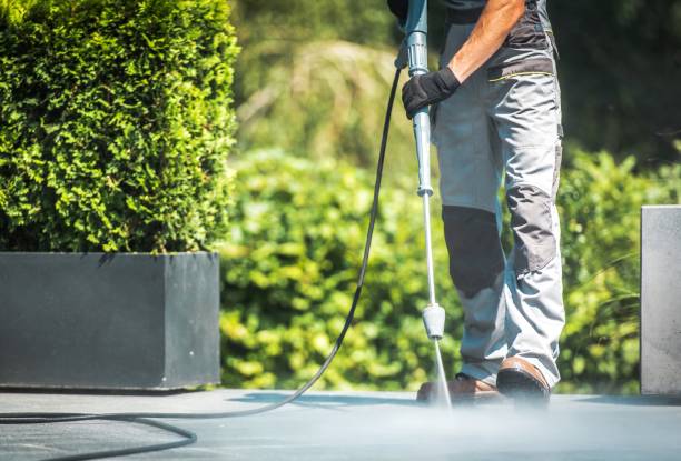 Best Patio and Deck Pressure Washing  in Maple Plain, MN