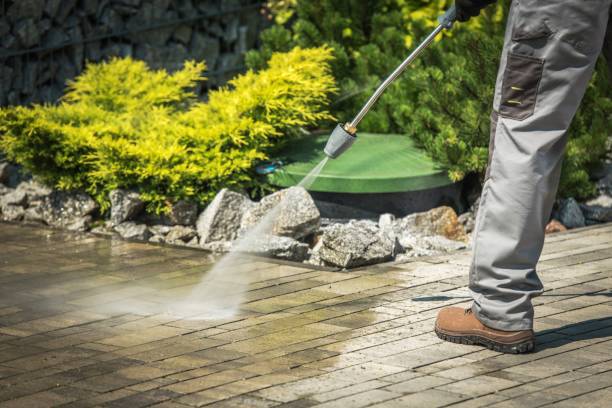 Best Spring Cleaning  in Maple Plain, MN